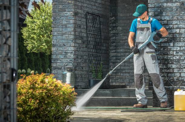 Animal Enclosure Cleaning in Yardville, NJ